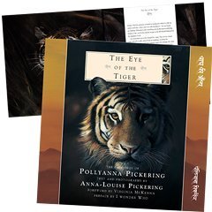 Eye tiger for sale  Delivered anywhere in UK