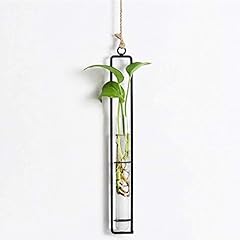 Hanging glass planter for sale  Delivered anywhere in USA 