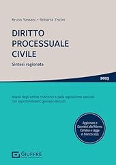 Diritto processuale civile usato  Spedito ovunque in Italia 