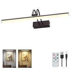 Raifoolly picture light for sale  Delivered anywhere in USA 