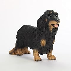 Longhair dachshund black for sale  Delivered anywhere in USA 
