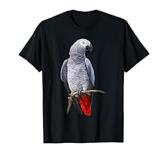 Beautiful african grey for sale  Delivered anywhere in USA 