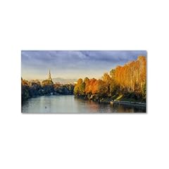 Temadecor quadro moderno usato  Spedito ovunque in Italia 