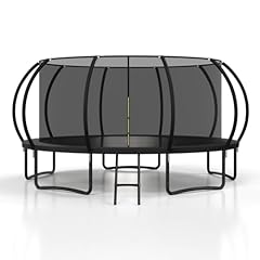 Polar aurora outdoor for sale  Delivered anywhere in USA 