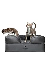 Noah paw dog for sale  Delivered anywhere in USA 