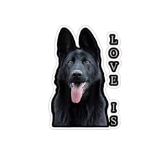 Black german shepherd for sale  Delivered anywhere in USA 