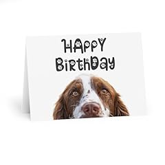 English springer spaniel for sale  Delivered anywhere in UK