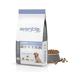 Avantis pet puppy usato  Spedito ovunque in Italia 