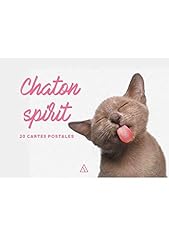 Chaton spirit cartes d'occasion  Livré partout en France