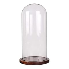 Wkhoki glass dome for sale  Delivered anywhere in USA 