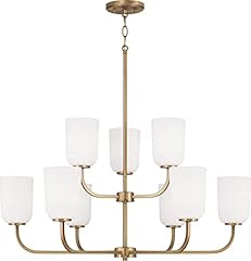 Homeplace lighting 448891ad for sale  Delivered anywhere in USA 