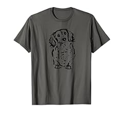 Long hair dachshund for sale  Delivered anywhere in USA 