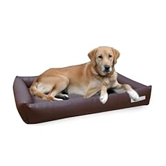 Dogsfavorite hundebett starter gebraucht kaufen  Wird an jeden Ort in Deutschland