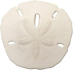 South beach crafts for sale  Delivered anywhere in USA 