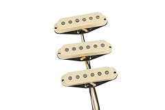 Custom shop dual usato  Spedito ovunque in Italia 