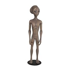 Treasures gray brown for sale  Delivered anywhere in USA 