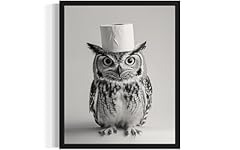Owl bathroom wall for sale  Delivered anywhere in USA 
