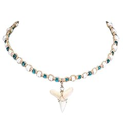 Bluerica shark tooth for sale  Delivered anywhere in USA 