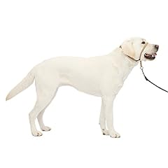 Petsafe gentle leader for sale  Delivered anywhere in USA 