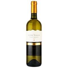 Pinot bianco alto usato  Spedito ovunque in Italia 