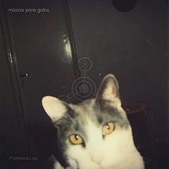 Baby blue usato  Spedito ovunque in Italia 