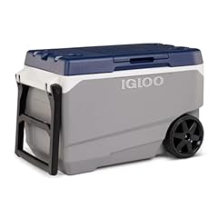 Igloo max cold for sale  Delivered anywhere in Ireland