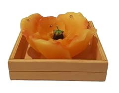 Candela magnolia gialla usato  Spedito ovunque in Italia 