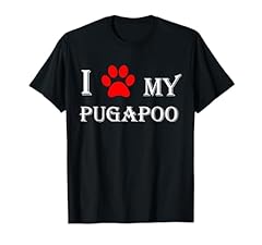 Love pugapoo pug for sale  Delivered anywhere in UK