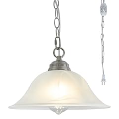 Shengqingtop plug pendant for sale  Delivered anywhere in USA 