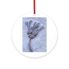 Cafepress fossil crinoid for sale  Delivered anywhere in USA 