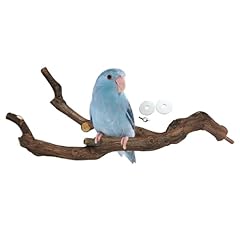 Kathson natural parrot for sale  Delivered anywhere in USA 