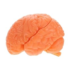 Pretyzoom abnehmbares anatomis gebraucht kaufen  Wird an jeden Ort in Deutschland