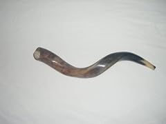 Kudu yemenite horn for sale  Delivered anywhere in UK