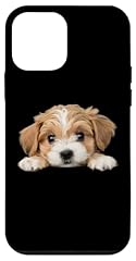 Iphone mini maltipoo for sale  Delivered anywhere in USA 