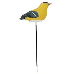 Bird shape plant for sale  Delivered anywhere in USA 