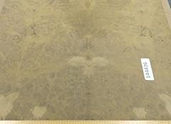 Oak burl wood for sale  Delivered anywhere in USA 