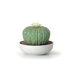 Lladró astrophytum cactus for sale  Delivered anywhere in UK