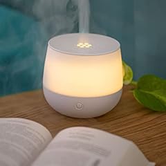 Diffuseur rosae brumisateur d'occasion  Livré partout en France