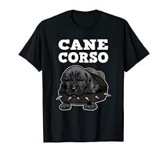 Cane corso chiot d'occasion  Livré partout en France