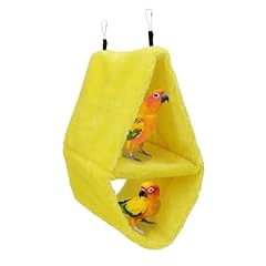 Wontee bird parrot for sale  Delivered anywhere in USA 