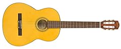 Fender esc 110 usato  Spedito ovunque in Italia 