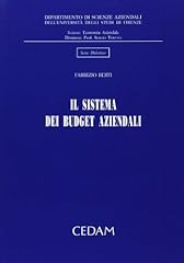 Sistema budget aziendali usato  Spedito ovunque in Italia 
