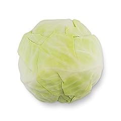 Amazon white cabbage for sale  Delivered anywhere in UK