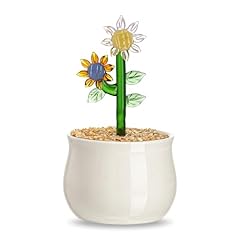 Hyaline dora handmade for sale  Delivered anywhere in UK