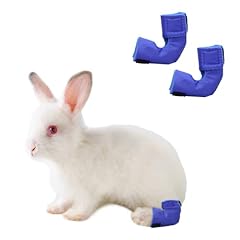 Mini rex rabbit for sale  Delivered anywhere in USA 