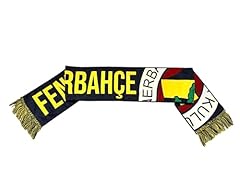 Ffizielle fenerbahce fußball gebraucht kaufen  Wird an jeden Ort in Deutschland