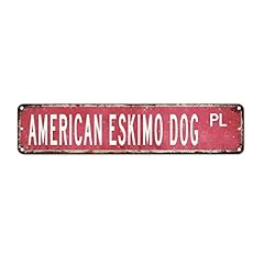 American eskimo dog usato  Spedito ovunque in Italia 