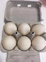 Fresh duck eggs for sale  Delivered anywhere in USA 