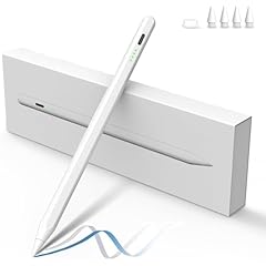 Penna ipad per usato  Spedito ovunque in Italia 