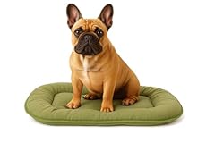 Flamingo coussin chien d'occasion  Livré partout en France